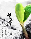 【曉荷】自然生產太危險（散文）