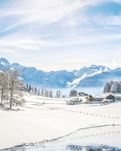 【綠野·雪】飄雪的山海盛開(kāi)（外一首）