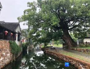 【籮筐·遇見】漫步西山島（散文）