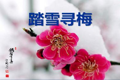 【軍警】落雪，有詩(shī)有襲（詩(shī)歌）