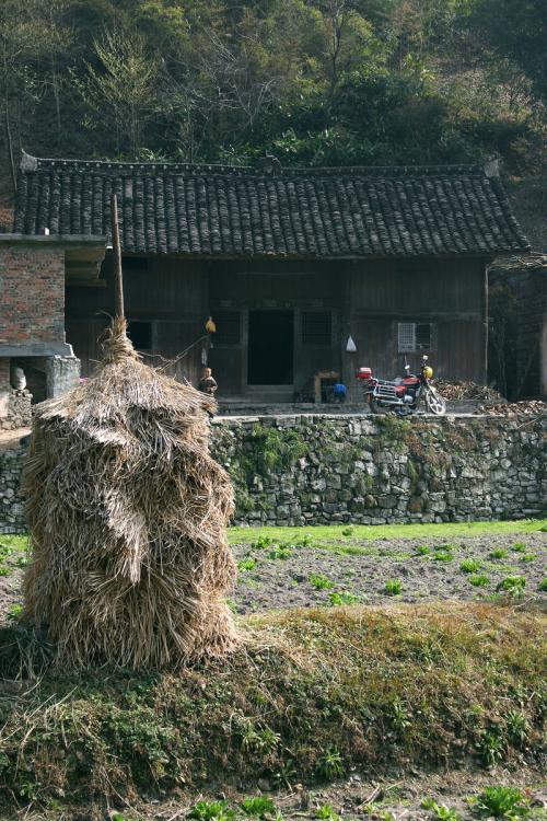 【酒家】往南，去外婆家（散文）