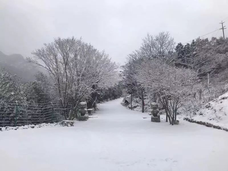 【丁香·愛心】走過(guò)落雪的大地（散文）