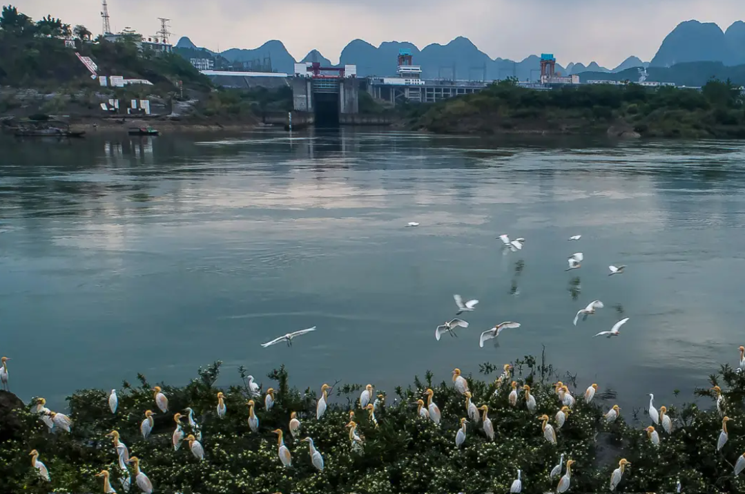 【看點(diǎn)】大化水岸公園（散文）