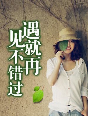 【柳岸】如果遇見，請(qǐng)不要錯(cuò)過（小說）